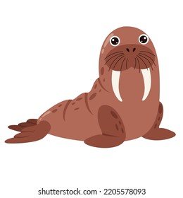 Cartoon Drawing Of A Walrus