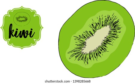 Cartoon drawn kiwi cut isolated on white. Green retro store label badge with text. Business fruit vintage sticker. Tropical delicious half of kiwi fruit vector illustration for web, print.