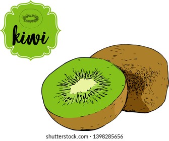 Cartoon drawn kiwi fruit isolated on white. Green retro store label badge with text. Business fruit vintage sticker. Tropical delicious half of kiwi and whole kiwi vector illustration for web, print.