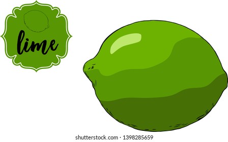 Cartoon drawn lime fruit isolated on white. Green retro store label badge with text. Business fruit vintage sticker. Tropical delicious citrus fruit vector illustration for web, print.