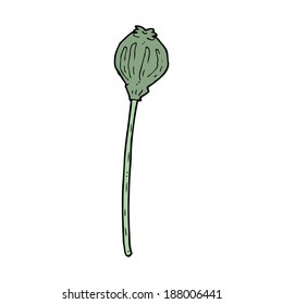 amapola seca