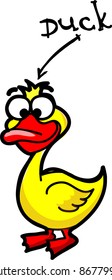 cartoon duck