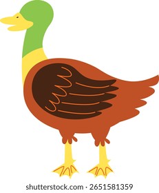 Ilustração de Pato de Desenho Animado sobre Fundo Branco