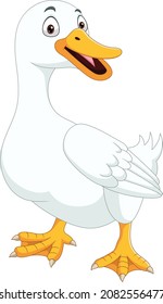 Cartoon duck isolated on white background