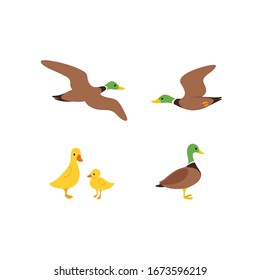 Cartoon duck sketch line icon. Сute bird icons set. Childish print for nursery, kids apparel, poster, postcard, pattern.