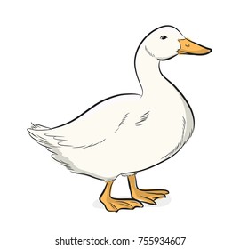 Cartoon Duck Vector Illustration Stock Vector (Royalty Free) 755934607 ...