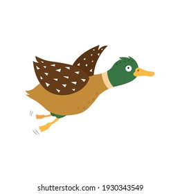 Cartoon duck, vector illustration on white isolated background.
