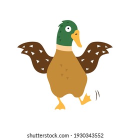 Cartoon duck, vector illustration on white isolated background.