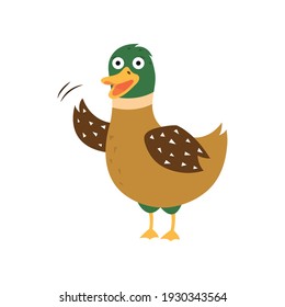 Cartoon duck, vector illustration on white isolated background.