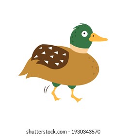 Cartoon duck, vector illustration on white isolated background.