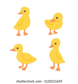 Cartoon duckling. Сute birds icons set. Childish print for nursery, kids apparel, poster, postcard, pattern.