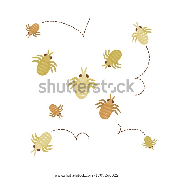Cartoon Dust Mite On White Background Stock Vector (Royalty Free