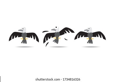 Águila de caricatura, diferentes posiciones: neutral, positivo, negativo.