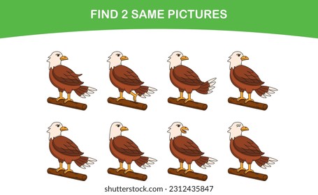 Cartoon eagle. Find two same pictures. Educational game for children. Cartoon vector illustration