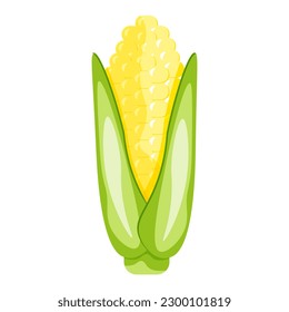 Cartoon Ear of Corn. Maize vector illustration. Summer Vegetables isolated on transparent background.