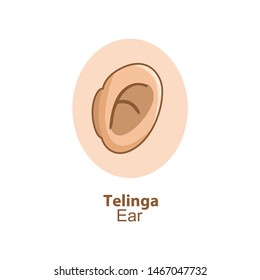 cartoon ear illustration, isolated ear vector on a white background.