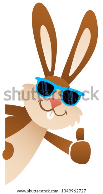 Cartoon Easter Bunny Giving Thumbs Up Wearing Sunglasses Peeking Behind Blank Board Lateral Upright Isolated On White Background