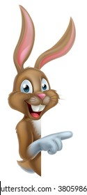 Cartoon Easter bunny rabbit peeking around a sign and pointing at it