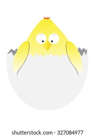 cartoon easter chicken in egg . vector funny animal illustration