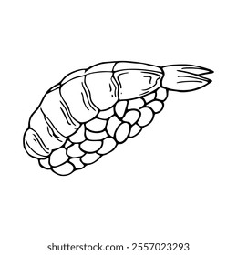 cartoon of ebi sushi for coloring page