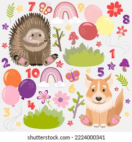 Cartoon echidna and dingo dog character with flowers, balloons, numbers, rainbows and leaves graphics set. Australian baby animals.