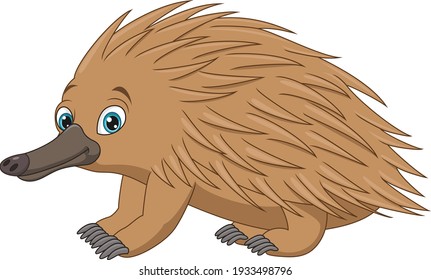 Cartoon echidna isolated on white background