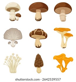 Cartoon Edible Mushroom Variety Vector Set.