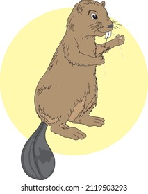 Cartoon Educative Beaver with Dental Floss Dentist Concept Vector Art Isolated on White