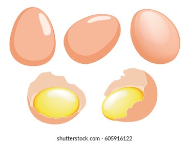 Cartoon egg isolated on white background. 