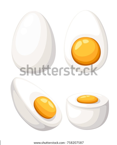 白い背景にカートーン卵 ゆで卵 半分 薄切り卵のセット ベクターイラスト 様々な形の卵 ウェブサイトページとモバイルアプリデザイン のベクター画像素材 ロイヤリティフリー