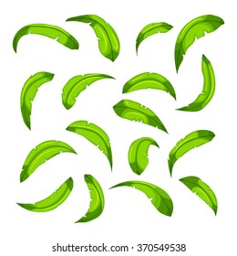 Cartoon elements the leaves of palm trees on a white background for creation of forestry tracks funny cartoon for filling your scenes or game interface backgrounds