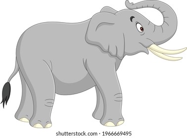 Cartoon elephant isolated on white background 