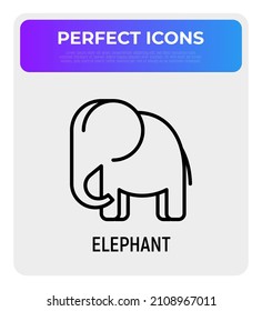 Cartoon elephant thin line icon. Modern vector illustration.