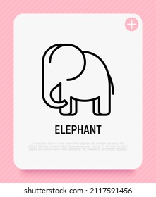 Icono de la línea delgada del elefante de dibujos animados. Ilustración vectorial moderna.