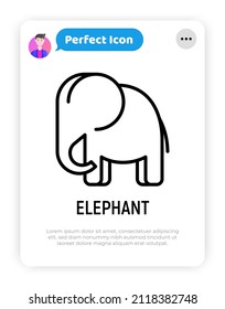 Cartoon elephant thin line icon. Modern vector illustration.