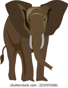 Cartoon elephant. Wild animal. Brown elephant with tusks. Vector illustration.