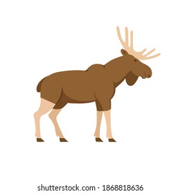 Cartoon elk on a white background. Flat cartoon illustration for kids.