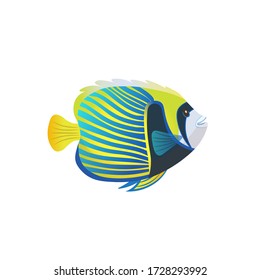 Cartoon an emperor angelfish on a white background. Vector illustration. 