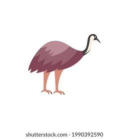 Cartoon emu bird - large brown animal from Australia standing isolated on white background. Side view of Australian flightless ostrich, vector illustration.