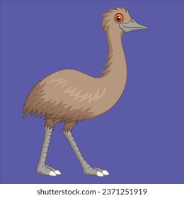 cartoon emu isolated character design illustration