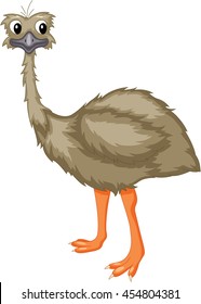 Image result for cartoon images of emus