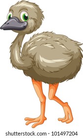 Cartoon Of An Emu On White