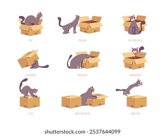 Cartoon English Prepositions Cute Cat Interacting with Boxes In Different Positions Set Educational Concept Flat Design Style. Vector illustration