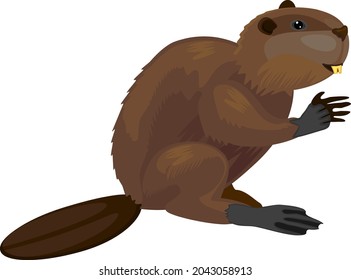 Cartoon European beaver (Castor fiber) isolated on white background