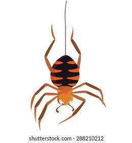 Cartoon evil spider hanging upside down vector illustration.