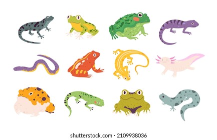 Cartoon exotic amphibian   reptiles  lizards  newts  toads   frogs  Tropical animals  gecko  triton  salamander   axolotl vector set  Wildlife colorful creatures isolated white