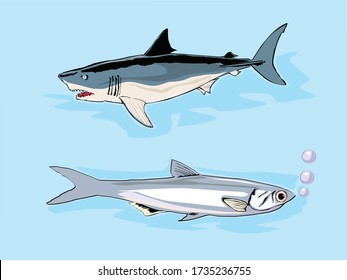 Cartoon exotic fish in trendy graphic style. Modern design for advertising, branding cover, poster, banner. Vector illustration drawing