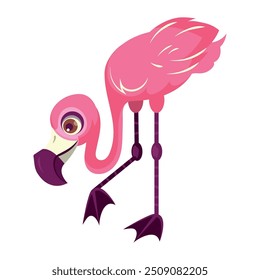 cartoon exotic flemish bird isolated