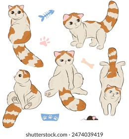 Cartoon exotic shorthair cat. Ginger cats set with cat's toys. Isolated on white background. Vector illustration. Red tabby cat in different poses. Flat hand drawn art for stickers, print, web.