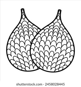 Cartoon Exotic Tropical Fruit Line Art